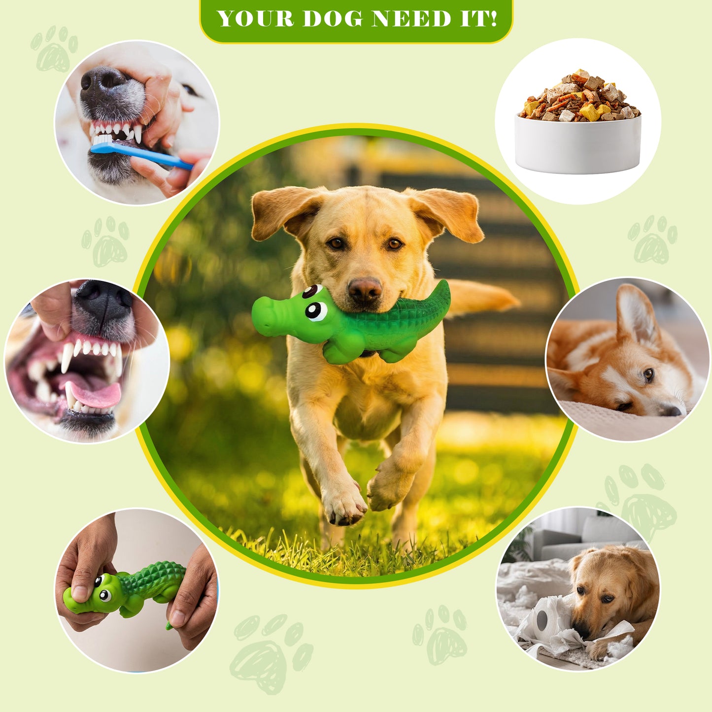 Squeaky Dog Toys for Medium Dogs, Soft Latex Squeaky Dog Ball, Cute Funny Squeak Crocodile Pet Toys