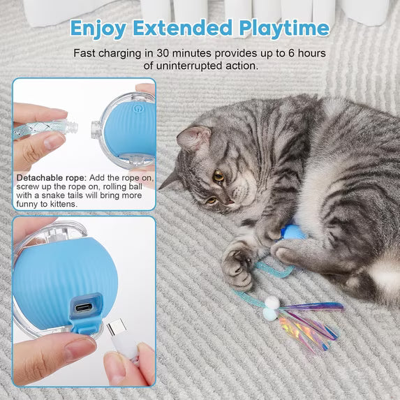 Interactive Cat Toys for Indoor, OEIKPFN Speed 2.0 Rechargeable Dog Cat Bal l for Enrichment Exercise (Blue)