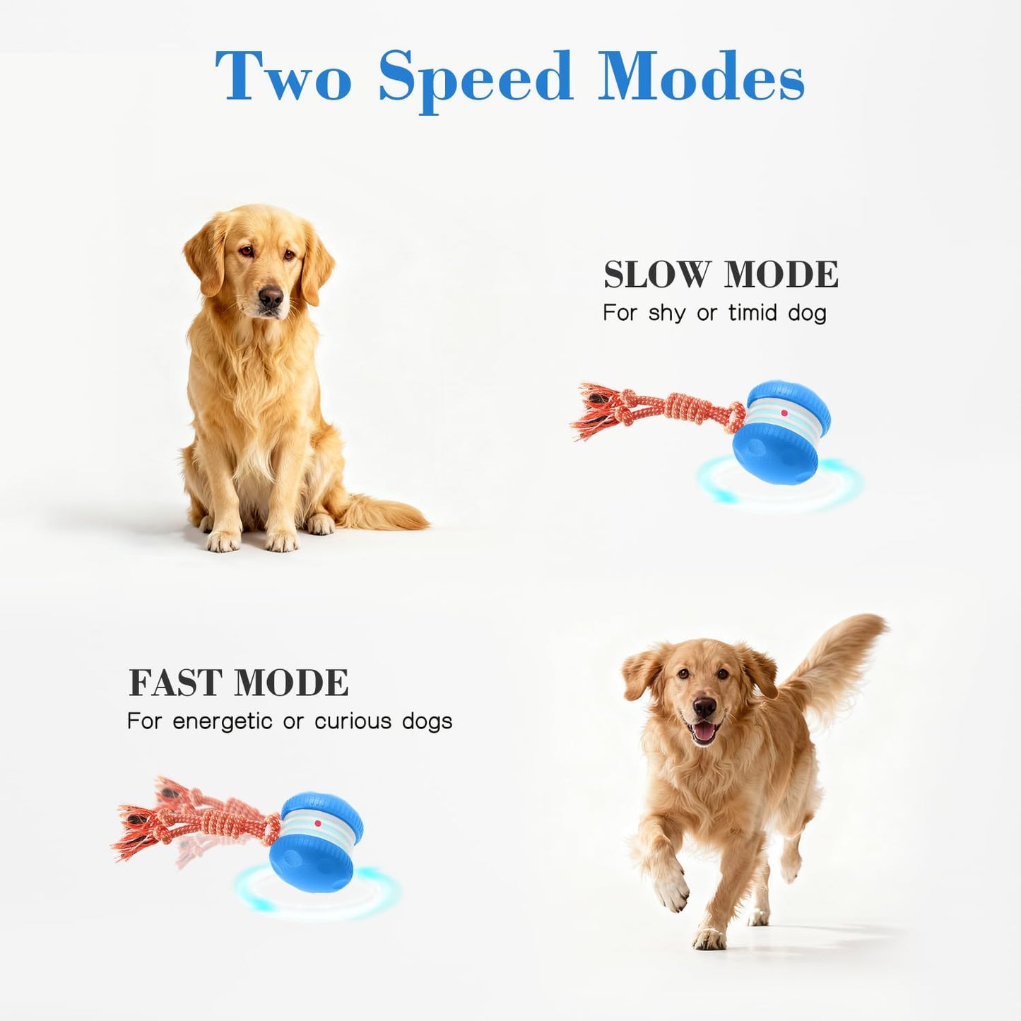 OEIKPFN Interactive Dog Toy – Automatic Electric Rolling Ball with Rope, Motion-Activated Play, Random Movement, Rechargeable, Ideal for Boredom Relief for All Dog Sizes, Blue
