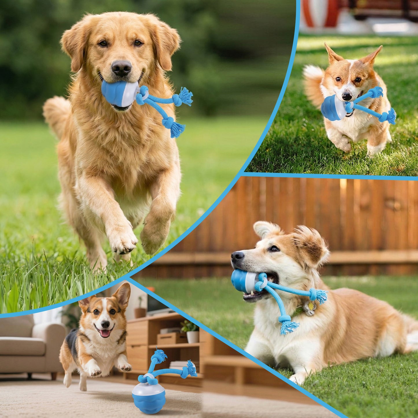 Interactive Dog Toys - OEIKPFN 2026 Upgraded Automatic Moving Dogs Toy Wicked Ball for Boredom, Motion Activated Balls for Medium/Large Dogs to Keep Them Busy(Blue)