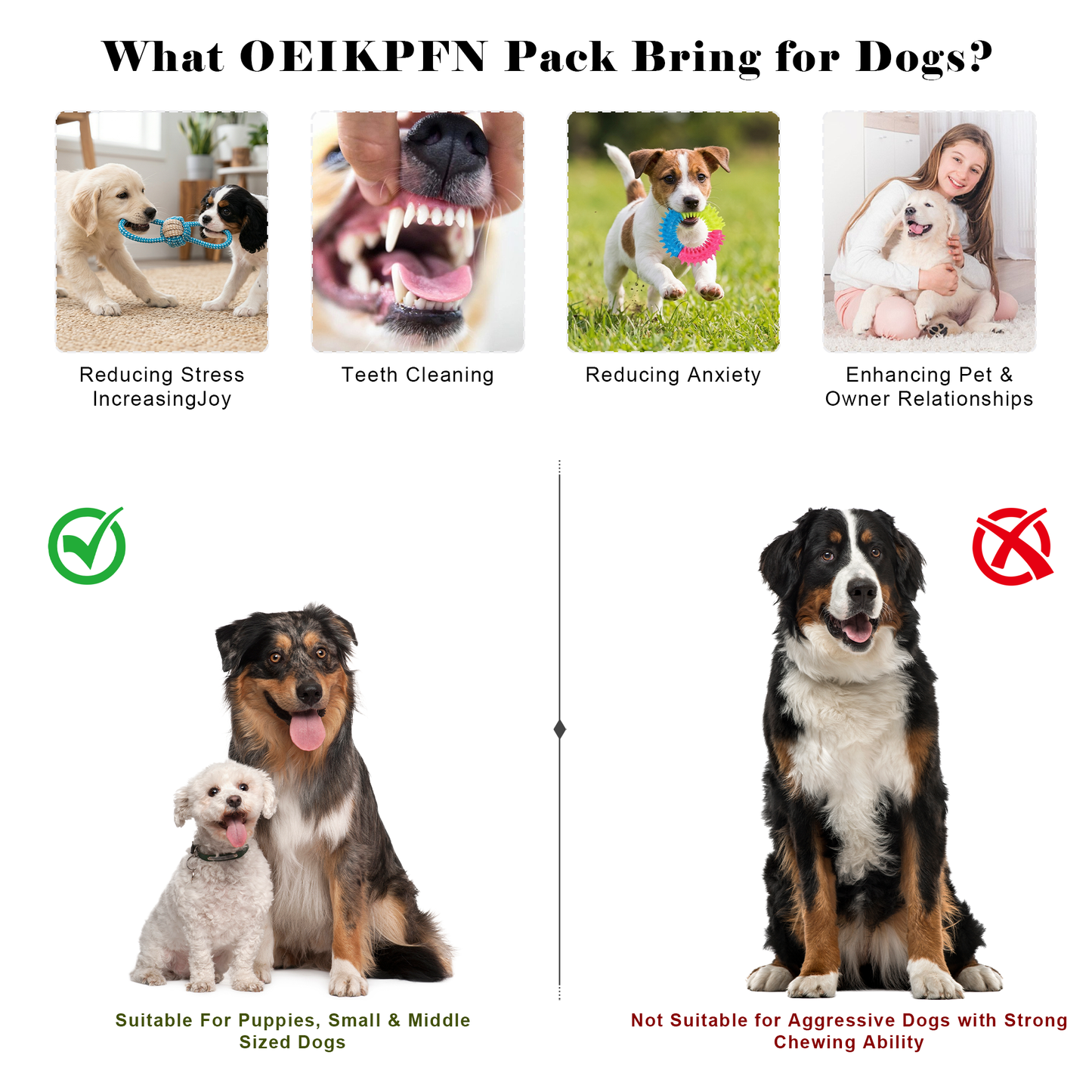 8Pcs Puppy Dog Chew Toys for Teething, Plush and Squeaky Toys with Rope, Treat Balls for Small Medium Dogs