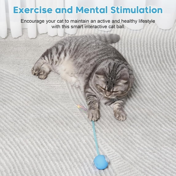 Interactive Cat Toys for Indoor, OEIKPFN Speed 2.0 Rechargeable Dog Cat Bal l for Enrichment Exercise (Blue)