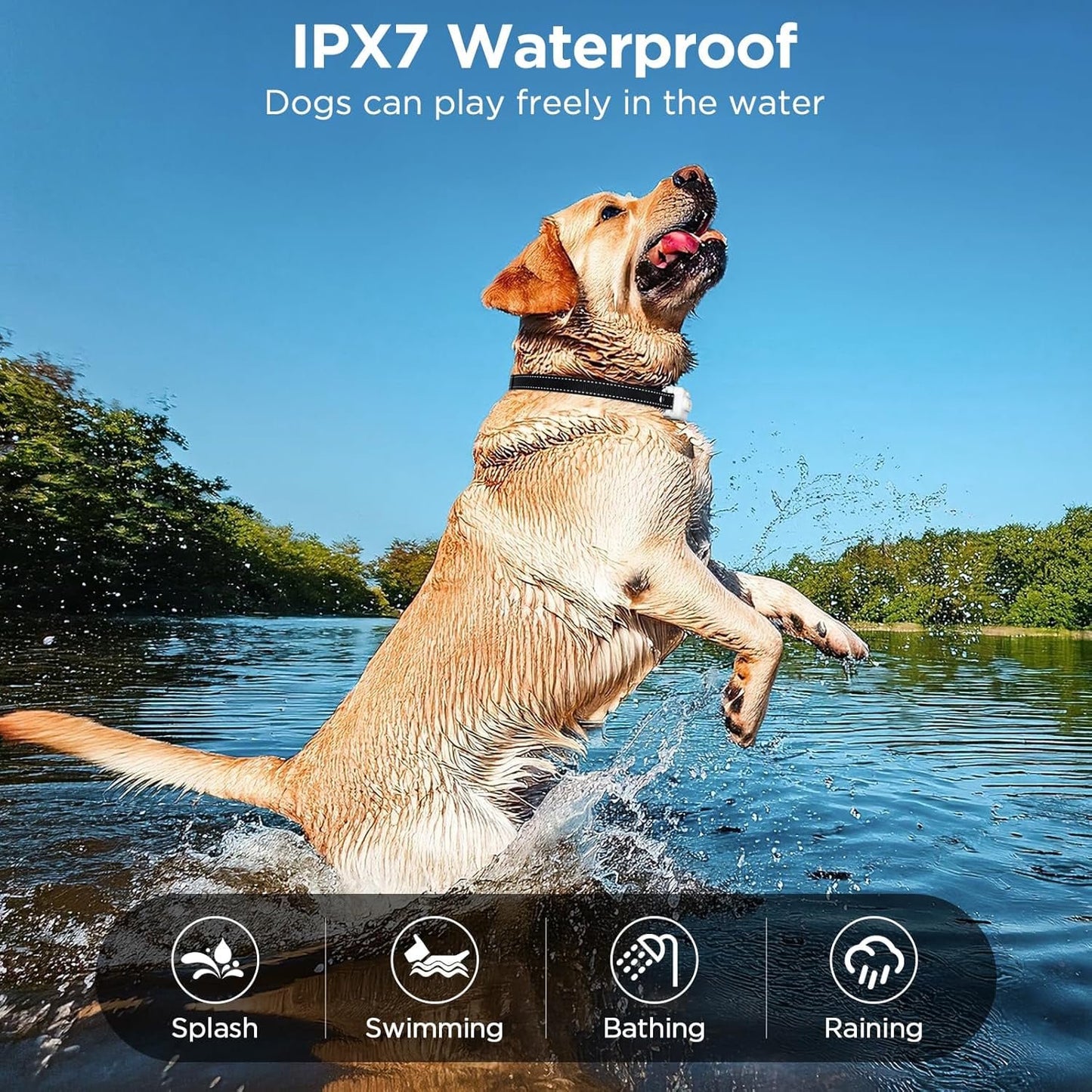 Dog Shock Collar, 3300ft Dog Training Collar with Remote, IPX7 Waterproof Rechargeable Sleek Modern Shock Collar with Beep, Vibration, Safety Shock, 8-120 lbs