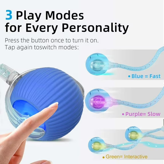 Interactive Cat Toys for Indoor, OEIKPFN Speed 2.0 Rechargeable Dog Cat Bal l for Enrichment Exercise (Blue)
